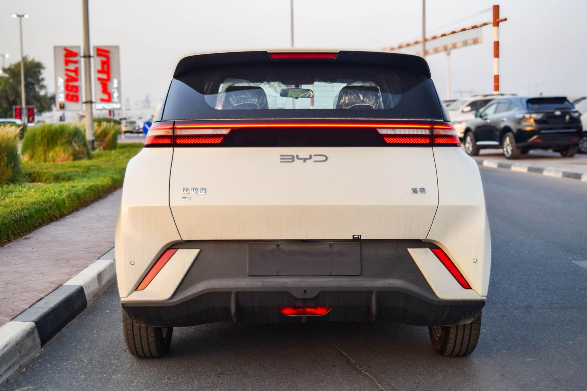 BYD Dolphin