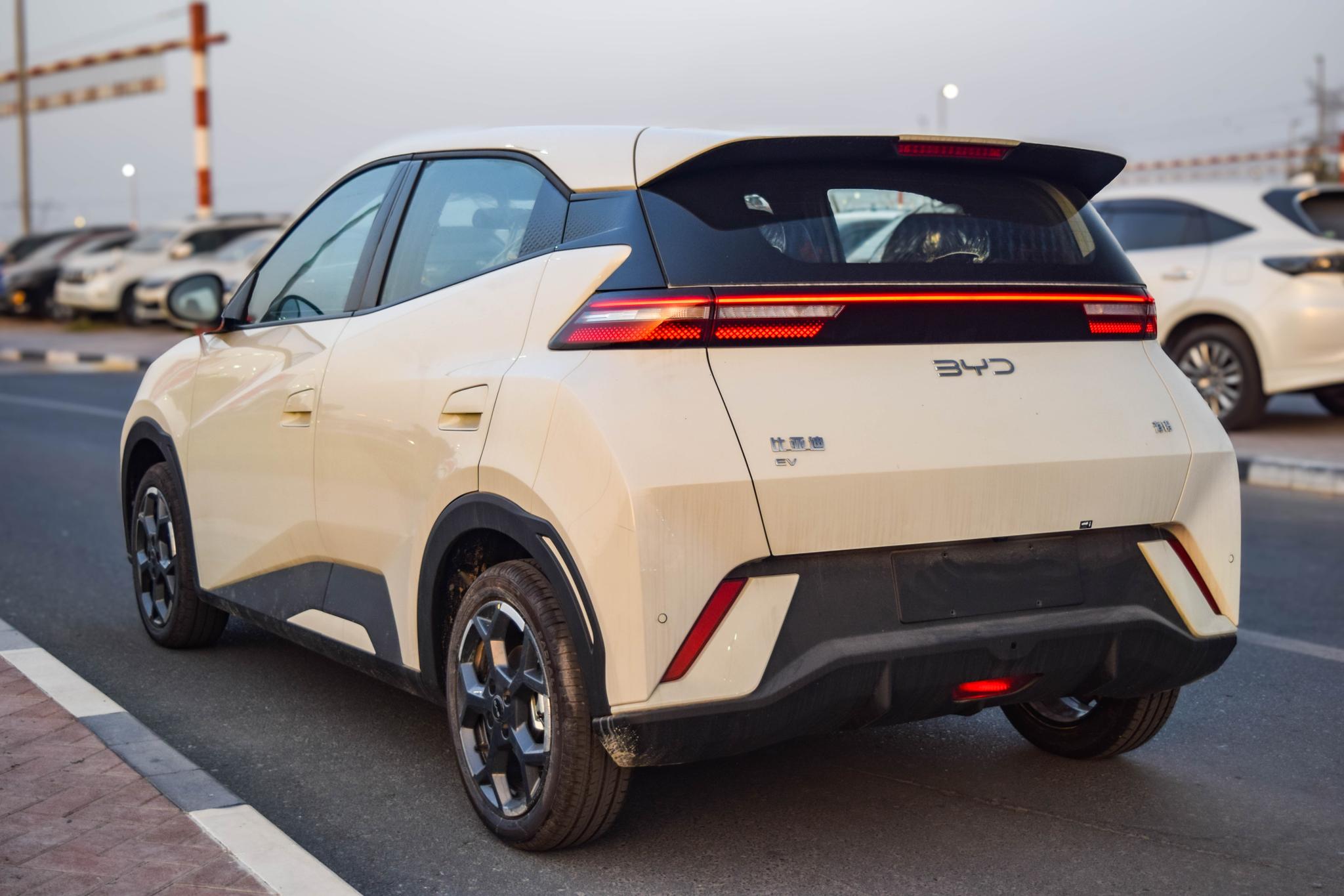 BYD Dolphin